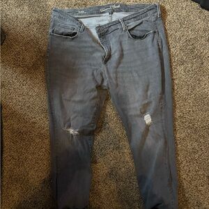 Urban Black Distressed Gray Jeans